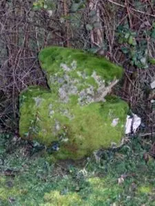 Photo de la croix de type Crozant dite Croix d'accès à la Baronnière