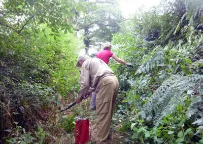 Photo d'une croix de Crozant en train d'être entretenue par des membres de l'association ASCTC pendant une action de débroussaillage.