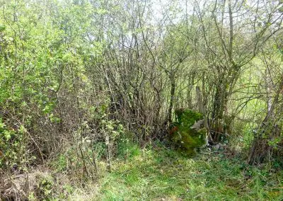 Photo d'une croix de Crozant en train d'être entretenue par des membres de l'association ASCTC pendant une action de débroussaillage.