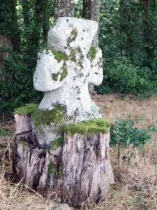 Photo de la croix de type Crozant dite croix des Places ou croix d'accès par le bois
