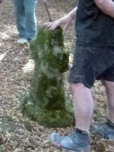 Photo de la croix de type Crozant dite croix d'accès à la Grange du Bois ou Croix Blanche