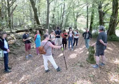 Photo de la croix de type Crozant dite croix d'accès à la Grange du Bois ou Croix Blanche