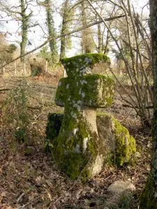 Photo de la croix de type Crozant dite croix d'accès au Perthuis ou croix Meunier