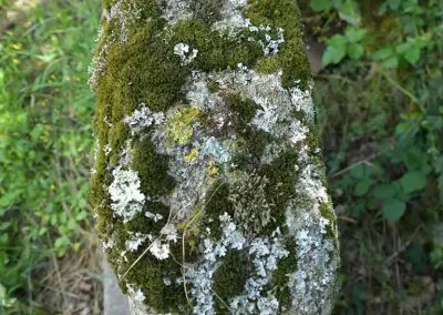 Photo de la croix de type Crozant dite croix du Pré Carré