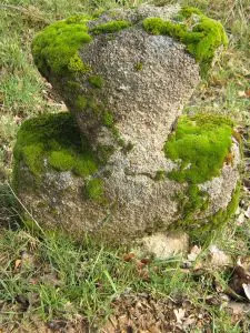 Photo de la croix de type Crozant dite croix d'accès à La Minauderie