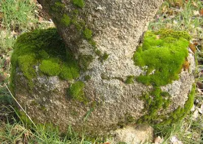 Photo de la croix de type Crozant dite croix d'accès à La Minauderie
