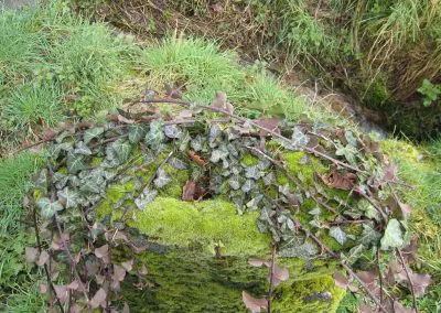 Photo de la croix de type Crozant dite croix d'accès à La Querlière